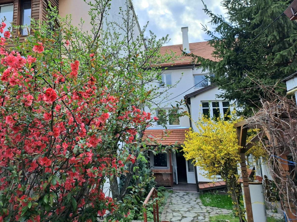 Apartment 7 Level Miercurea Ciuc